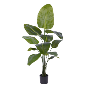 Strelitzia Nicolai kunstplant 150cm
