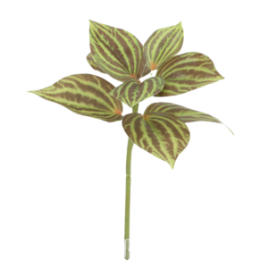 Peperomia Kunstplant groen/bruin 25cm