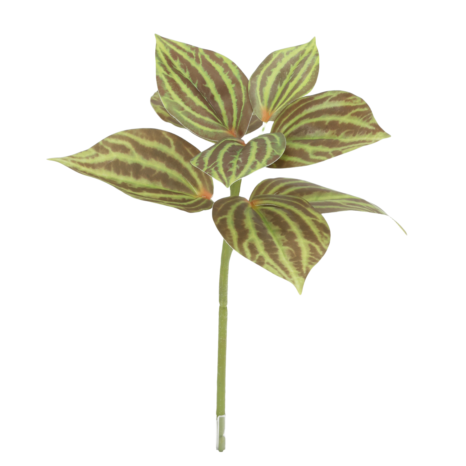 Peperomia Kunstplant groen/bruin 25cm 1 Peperomia Kunstplant groen/bruin 25cm