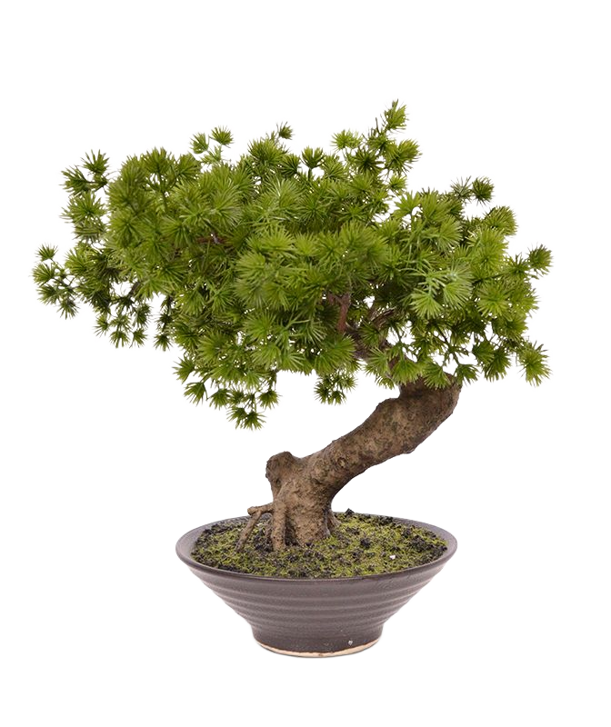 Pinus Bonsai kunstplant in schaal 40cm 1 Pinus Bonsai kunstplant in schaal 40cm