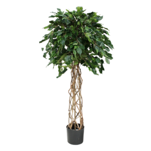 Ficus Exotica bol kunstplant op stam 150cm