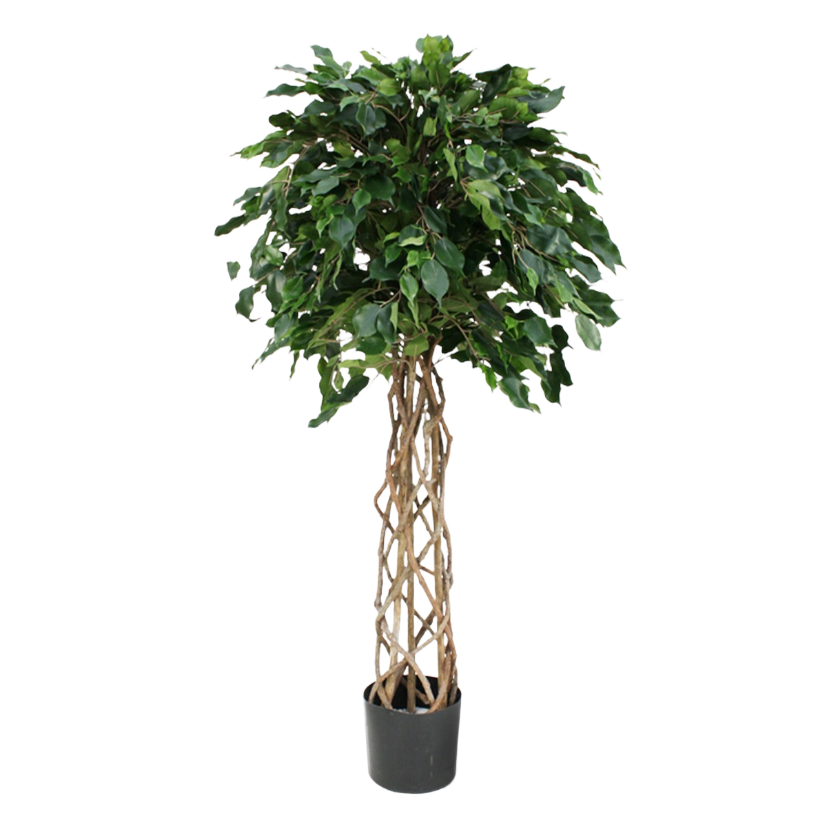 Ficus Exotica bol kunstplant op stam 150cm 1 Ficus Exotica bol kunstplant op stam 150cm