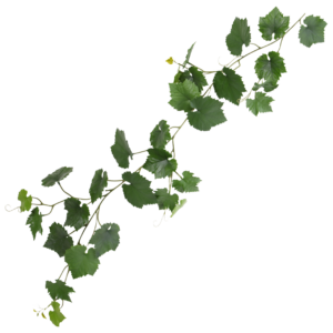 Druifguirlande kunstplant 110cm UV groen