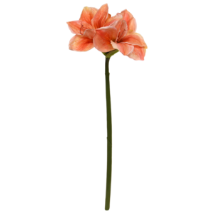 Amaryllis Kunstbloem 67cm Zalm