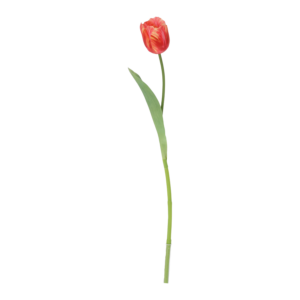 Tulpentak RT Kunstbloem 60cm Rood
