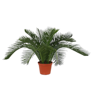 Cycas Baby kunstpalm 45cm - N