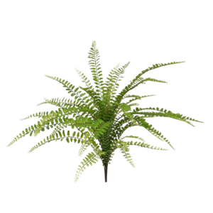 Asplenium Varen kunstplant 45cm