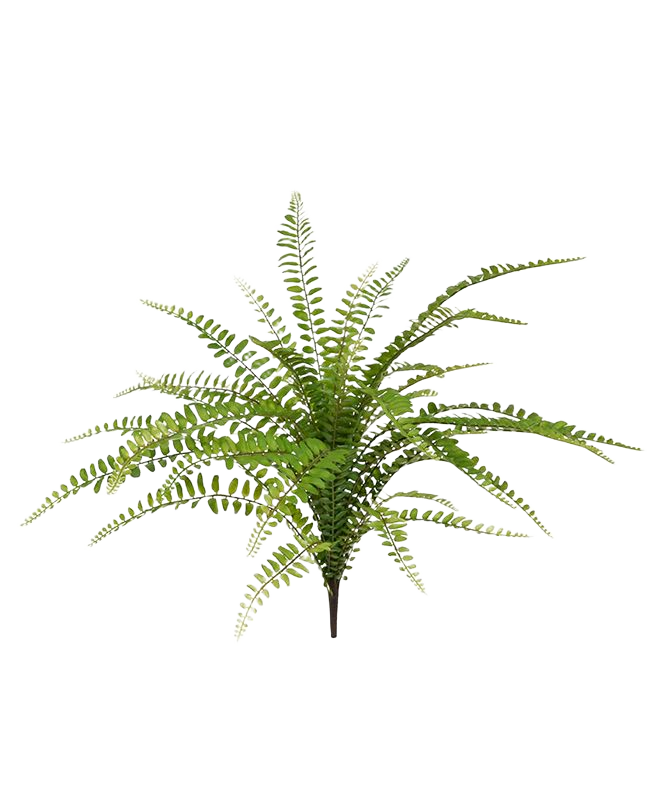 Asplenium Varen kunstplant 45cm 1 Asplenium Varen kunstplant 45cm