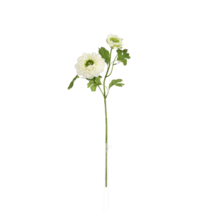 Ranonkel Kunsttak 46cm Creme
