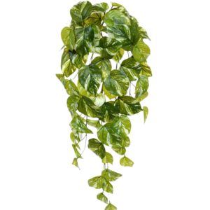 Pothos kunst hangplant 60cm