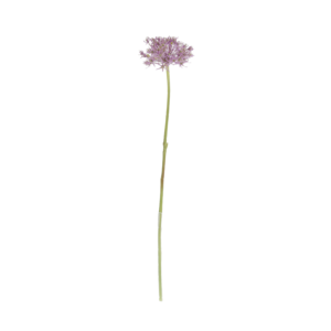 Allium Kunstbloem 61cm Paars