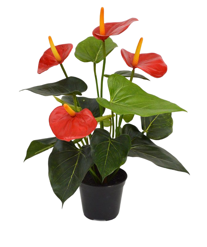Anthurium kunstplant 40cm - rood in 10cm kweekpot 1 Anthurium kunstplant 40cm - rood in 10cm kweekpot