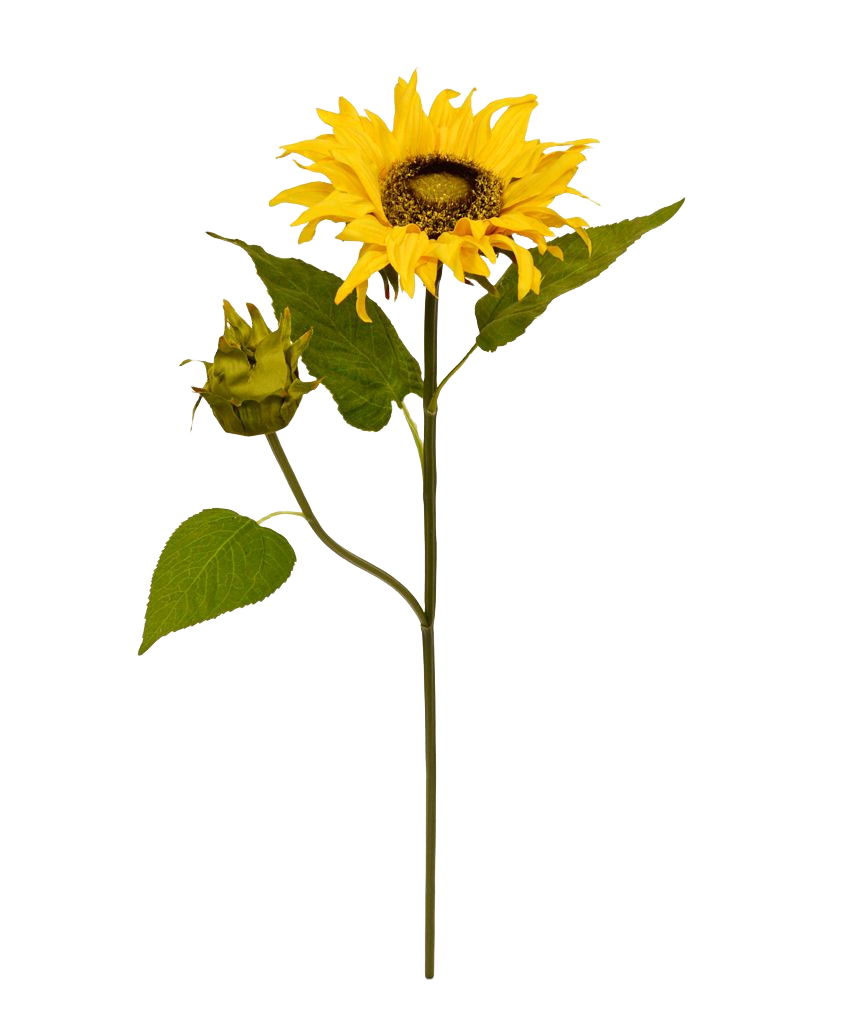 Zonnebloem kunsttak M Deluxe 55 cm 1 Zonnebloem kunsttak M Deluxe 55 cm